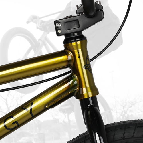 Bicicleta Bmx Freestyle Syzygy De 20 Pulgadas Para Niños A P