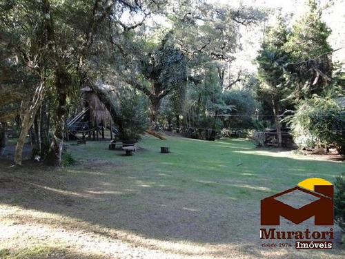 Imagem 4 de 15 de Casa Em Meio À Natureza - 1772