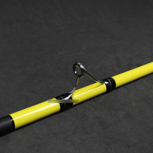 Vara Pesca Praia Carbono Albatroz Bora 4,50 Metros 100-200 G