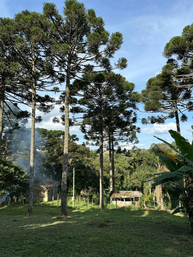 Paraíso À Venda Sítio Com Nascentes, Córrego E Natureza Intocada Em Bocaiuva Do Sul - Pr - 4 Hec