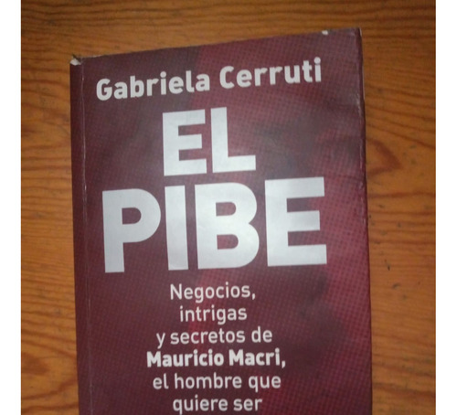 El Pibe, De Gabriela Cerruti. Planeta. Zona Norte 