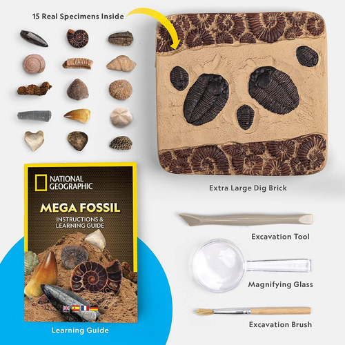 Kit De Excavación De Fósiles Para Niños, Incluye 15