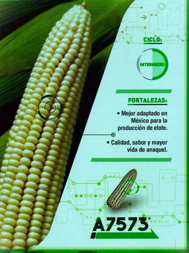 Semilla De Maíz Elotero 7573 Asgrow 1 Kg Agranel/tratamiento