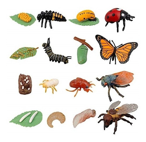Muñecos 16 Figuras De Insectos, Ciclo De Vida De Mariposa