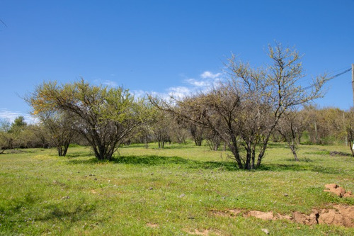 Venta Parcela En Limache, En Condominio Santa Teresa