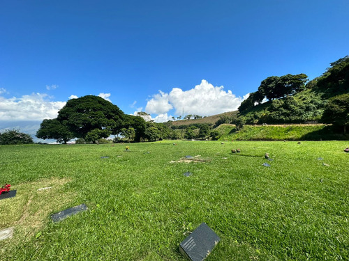 Parcela De Dos Puestos En El Cementerio Del Este 