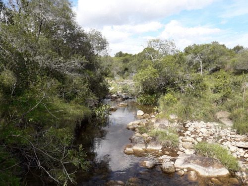 Imagen 2 de 14 de Campo Cerca De Pueblo Eden - Consulte !!!!!!! - Pueblo Eden