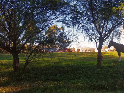 Imagen 5 de 11 de Vendo Terreno Lote Para Casa Cabañas Centro De Colón E Rios