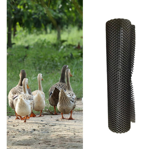 Rede De Arame Para Frango Projetos Diy Aves