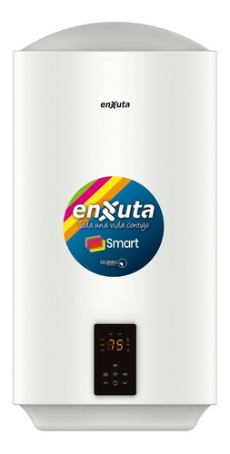 Termotanque Enxuta Smart  47 Lts.acero Yanett