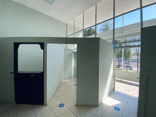 Oficinas En Renta En Jardines Del Bosque