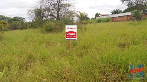 Imagem 12 de 20 de Chácaras_sítios_fazendas Para Venda - 13650.3925