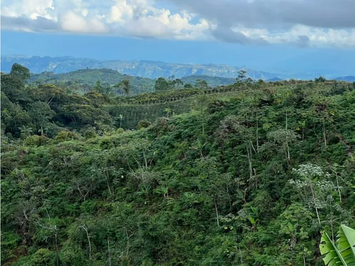 Venta De Finca En Vereda Paramillo, Fresno, Tolima