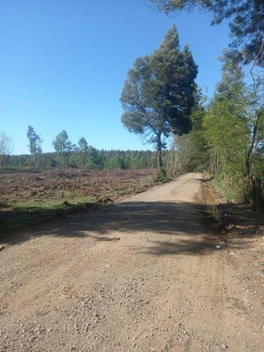 Solo A 16 Kms De La Ciudad De Mulchen (76119)
