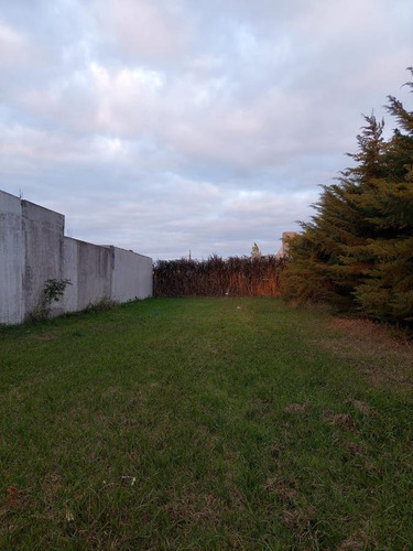 Imagen 3 de 5 de Terreno A La Venta En Roldán Punta Chacra