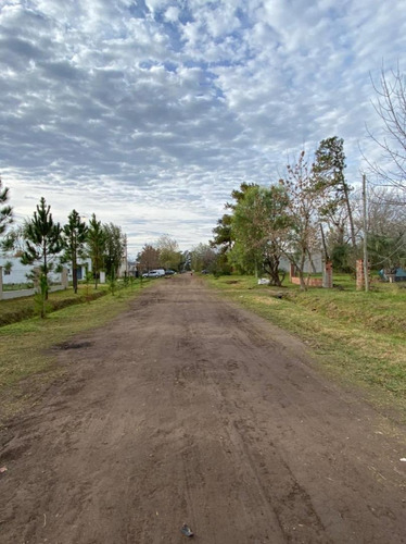 Imagen 2 de 2 de Lote En Prados Del Sol - Roldan