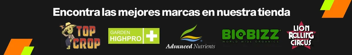 ¡Aprovechá el envío agregando más de nuestros productos a tu carrito!