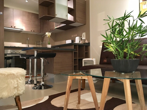 Arriendo Depto En Centro (minimo 10 Dias)