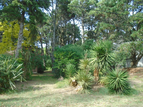 Terreno 700 Mts Del Mar  Costa Del Este