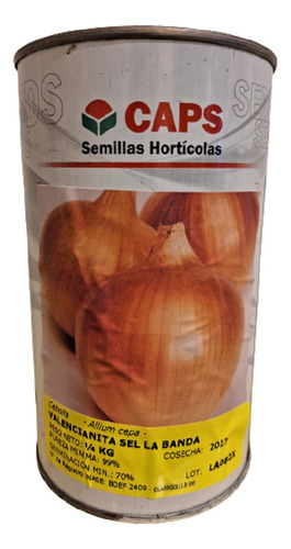 Semillas Cebolla 250gr A Granel X Mayor 57000 Sem Por Peso