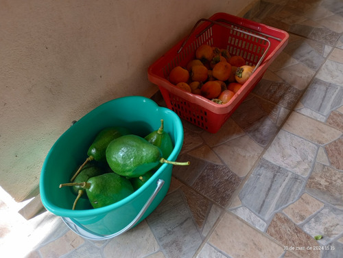 Vendo Linda Chácara (porteira Fechada) Em Jambeiro Direto Com O Proprietário!