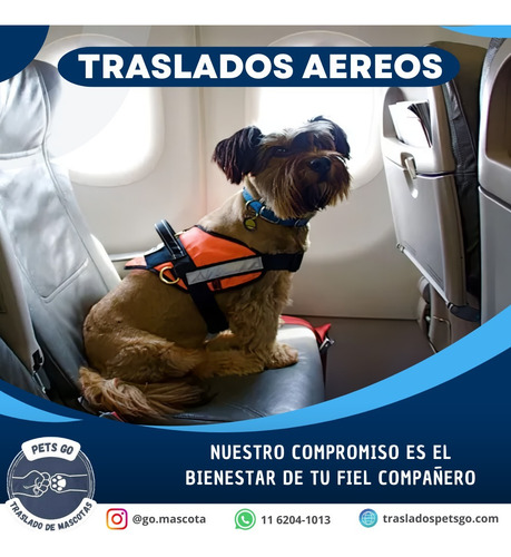 Traslado De Mascotas Terrestre Y Aéreo.