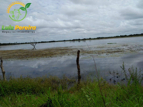 Imagem 2 de 15 de Fazenda À Venda Em Formoso Do Araguaia-to - 1.771 Hectares (dupla Aptidão) - 1618