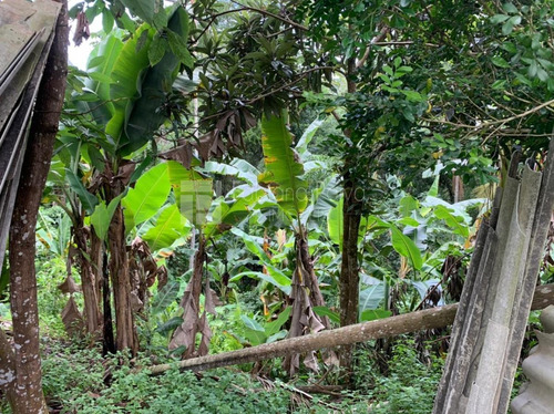 Terreno Para Venda Em Arujá, Jacarandas - Te0172_1-1723854