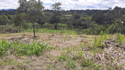 Imagen 4 de 15 de Venta Lote Esquinero -620 Mts2 - Julumito Popayan
