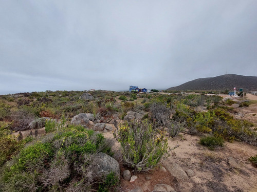 Imagen 4 de 11 de Terreno El Arrayan La Serena, Km 492