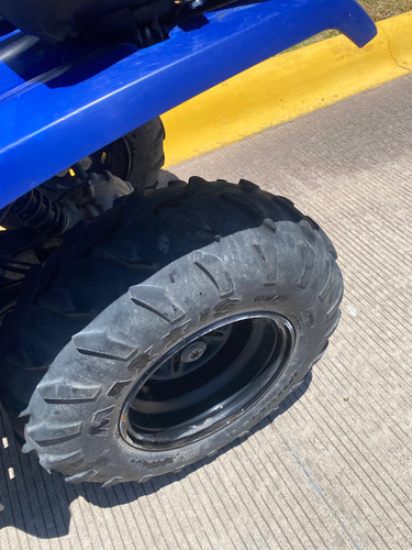 Grizzly 350 4x4