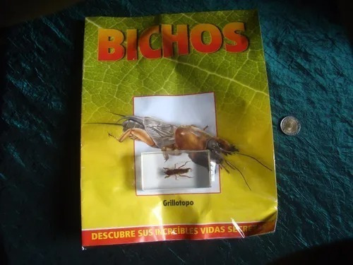 Coleccion Bichos Grillotopo, Nuevo Oferta