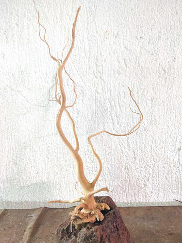 Raiz De Vid Mediano Acuario Pecera 50cm -----051 (Usado)
