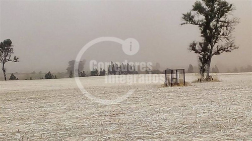 Agrícola En Venta En Victoria
