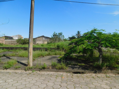 Imagem 5 de 6 de 2(dois) Lotes Av. Padre Anchieta Com 874,90m² Coml E Resd.