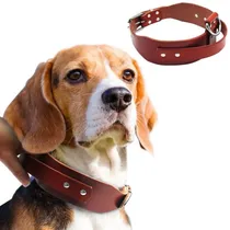 Comprar Cuero Durable Grandes Collares De Entrenamiento Con Diseño L