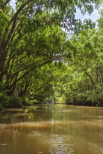 Imagen 19 de 22 de Alquiler Temporada Cabaña En La Isla Del Delta Río Espera