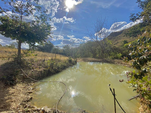 Imagem 14 de 26 de Fercal, Sobradinho Chácara Com Mais De 92 Hectares, Sendo 1.000m² De Área Útil, São 3 Quartos, Curral, Açude E Muito Mais! Estuda Permuta. - Villa129695