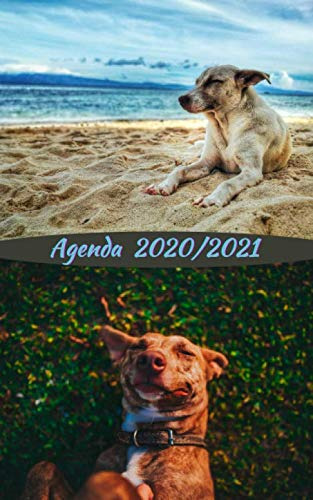 Agenda Escolar Perro - Dog - Chien Curso Lectivo 2020-2021