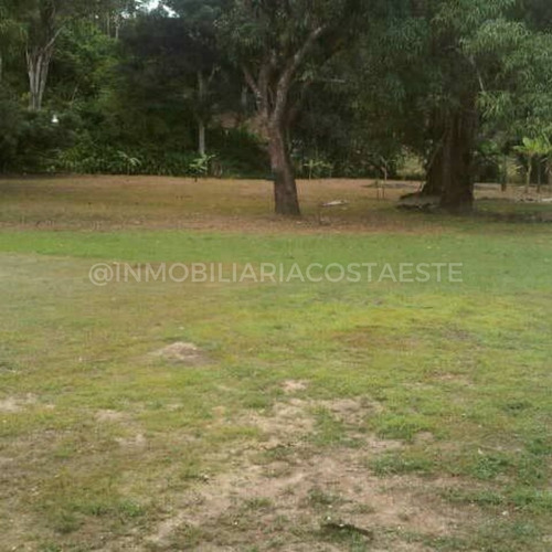 Terreno Con Bienhechuría En Venta Ubicado En Caruao Ref 1807