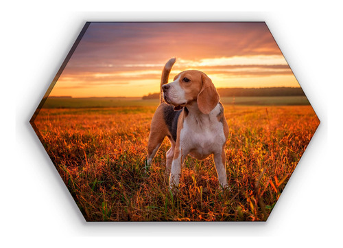 Cuadro Canvas Hexagonal Retrato Perro Beagle 60x90cm