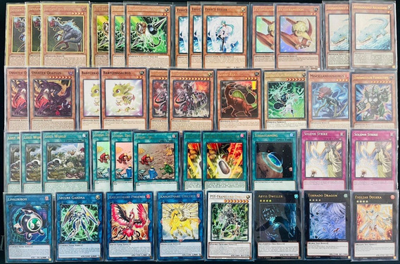 Cartas Yugioh Cartas De Dinosaurios | MercadoLibre 📦 Cartas Yugioh Cartas De Dinosaurios | MercadoLibre 📦