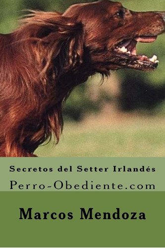 Libro: Secretos Del Setter Irlandes: Perro-obediente (sp