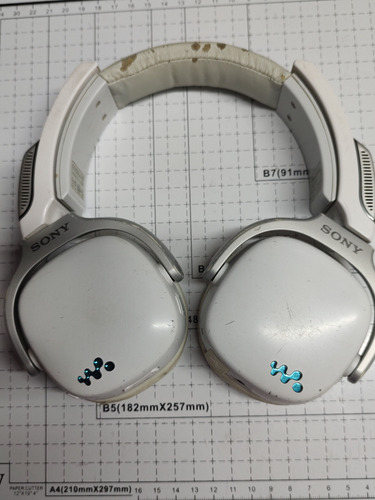 Audífonos Sony Walkman Nwz-wh303 Usados 