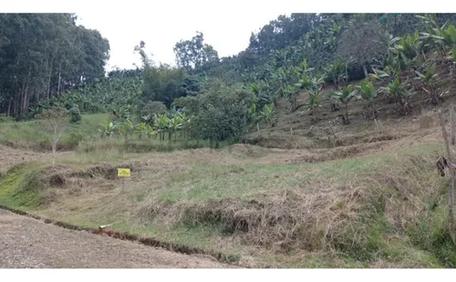Lote En Venta En Jardín. Cod V50912