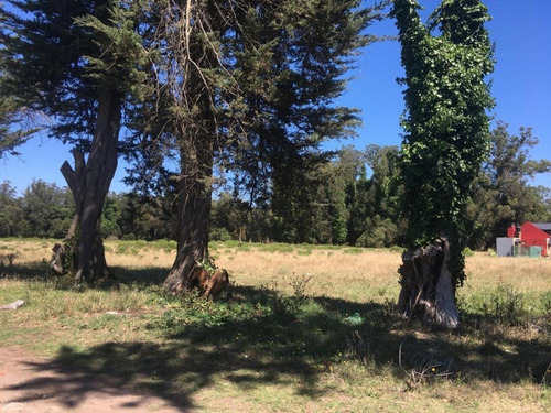 Imagen 3 de 8 de Terreno En Venta Lote 920 M², Zona Parque Peña