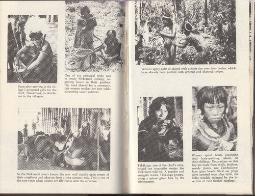 Viaje Amazonas Brasil Indios Mekranoti Dennis Werner Ingles (Usado)