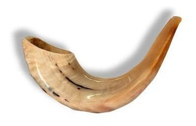 Shofar Kosher Rams Horn Instrumento Natural Shoffar Shophar 