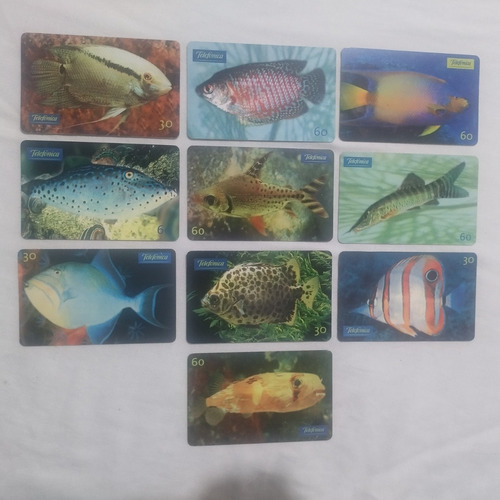 Cartão Telefônico - Série Peixes Ornamentais - Telefônica 