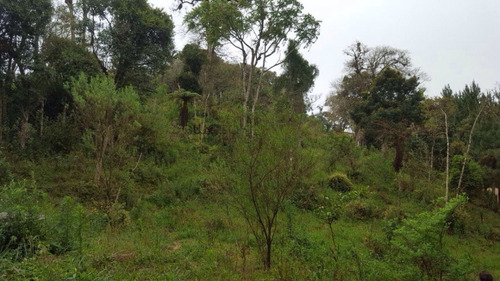 Chácara A Venda No Bairro Miringuava Em São José Dos - 5663-1
